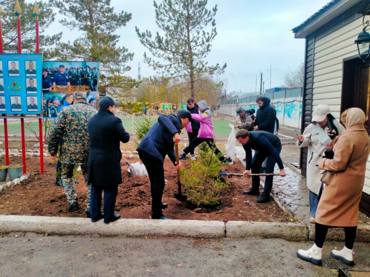 20 қазан күні Ұлттық ұланның 5516 әскери бөліміне 30 көшет шырша сыйлыққа тарту етілді