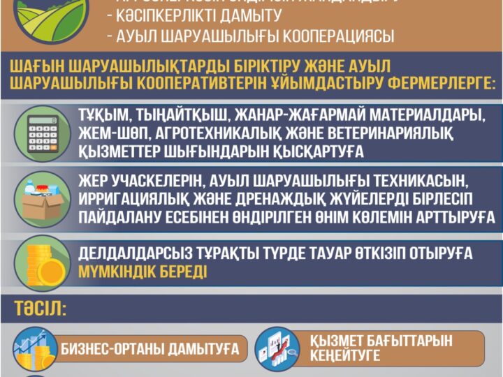Ауыл тұрғындарын нәтижелі жұмыспен қамту үшін жағдай жасау