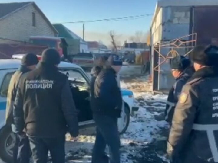 Полицейлер Қарағанды облысында бірнеше мал ұрлығының бетін ашты