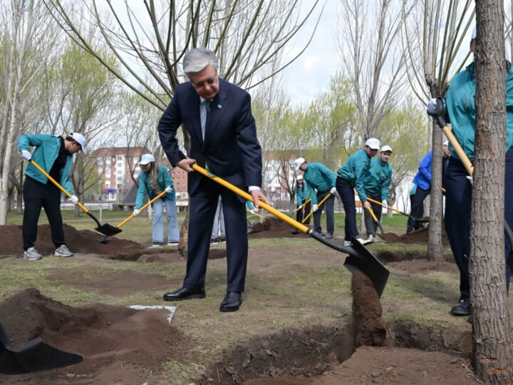 Мемлекет басшысы «Жастар» саябағында ағаш екті