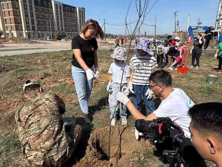 Қарағанды облысында көгалдандыру жұмыстары қарқынды жүргізілуде