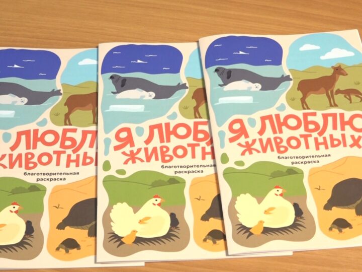 Қарағандылық тұрғын қаңғыбас жануарларға көмектесудің жаңа жолын ұсынды