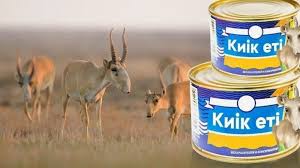 Сөрелерде жаңа өнім: киік еті – арзан, бірақ даулы