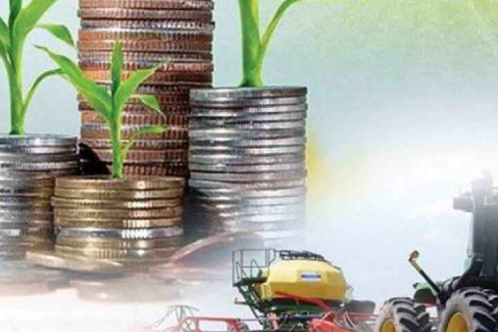 Ауыл шаруашылығының жалпы өнім көлемі 3,4%-ға өсіп, 3,6 трлн теңгеге жетті