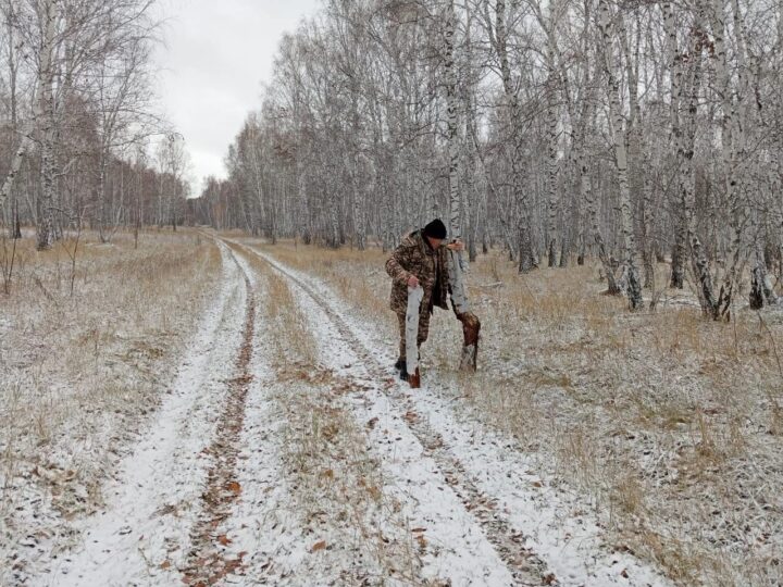 Табиғат – аманат: қоқыссыз орман, таза орта