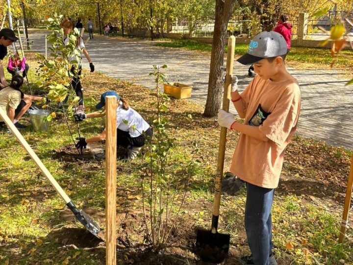 Қарағандыдағы сенбілік: қалаға 220 жаңа ағаш егілді