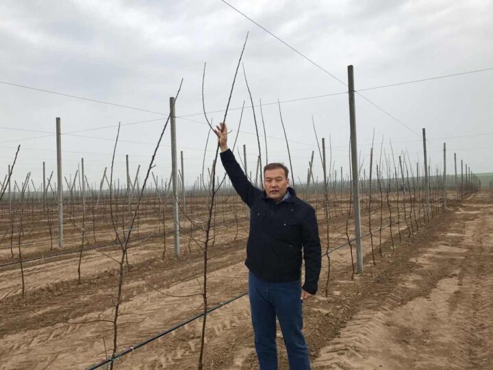 Казахстан движется в правильном направлении – депутат