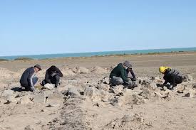 Жер астындағы тарихқа абай болайық!