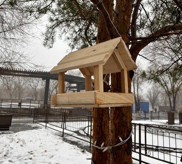 «Таза Қазақстан»: Майқұдық саябағында құстарға арналған қоректендіргіштер орнатылды