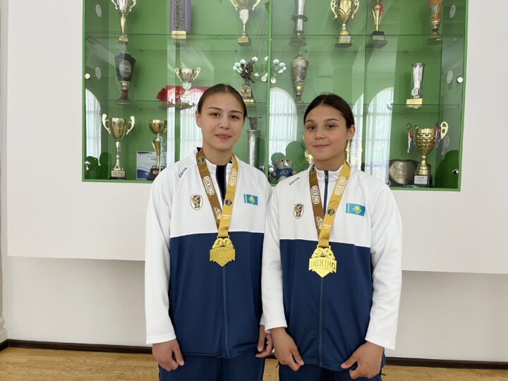 Былғары қолғапты қос ару