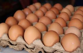 Жұмыртқа бағасы тұрақты: импортқа бір айлық шектеу енгізілді