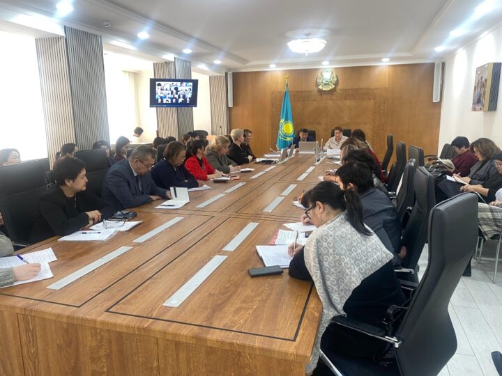 Тексеру комиссиясы ерекше қажеттіліктері бар балаларды қолдау мәселесін талқылады