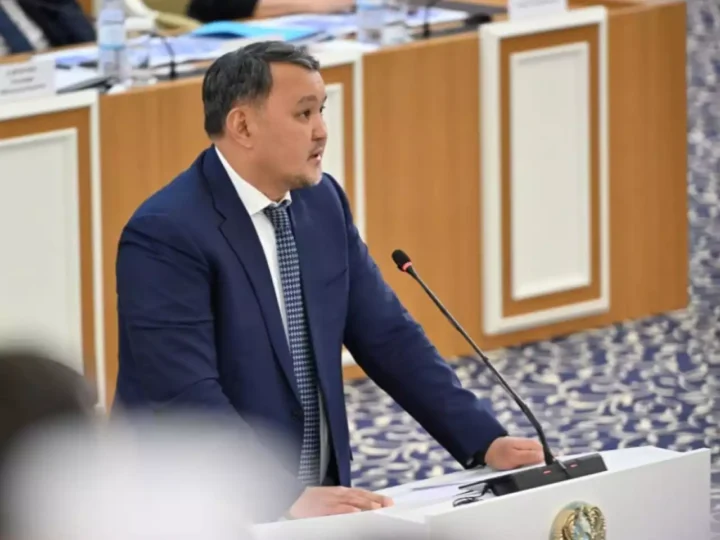 Жаңа Ата заңның жаңа мәтінінде терминдер бірізге түскен –Талғат Нәрікбаев