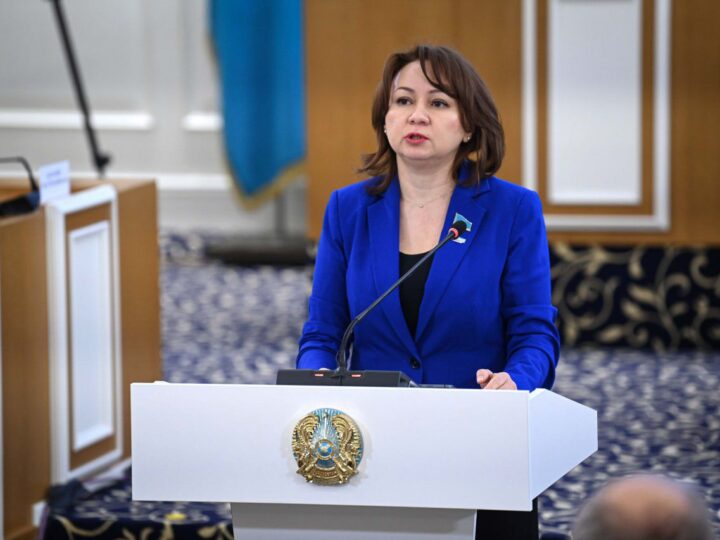 Жаңа Конституцияда өтпелі кезеңнің барлық рәсімдері, мерзімдері мен регламенттері нақты жазылады