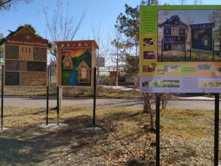 Жәндіктерге жағдай жасалды