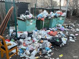 Қалаларды тазалықта ұстау күшейеді: әкімдіктерге айыппұл салу құқығы беріледі