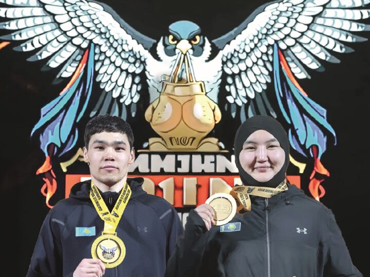 Жерлестердің жеңісі