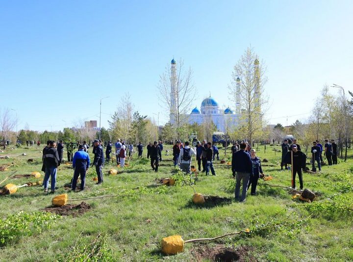 Жасыл белдеу: Қарағандыда «Таза Қазақстан» аясында мыңдаған көшет егілді