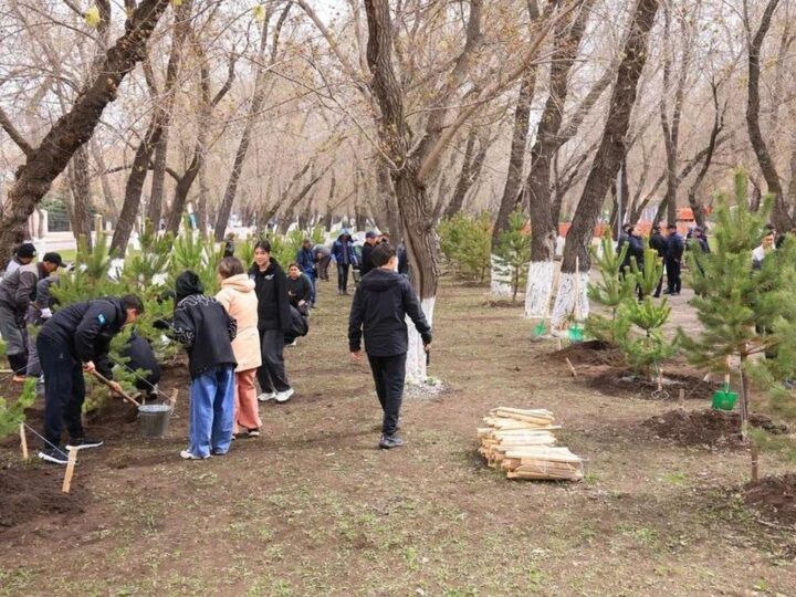 «Таза Қазақстан»: Қарағандыда бір күнде 400 ағаш отырғызылды