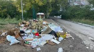 Жеке сектордағы антисанитария мен қоқыс дағдарысы