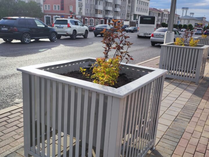 Ескі ағашқа жаңа өмір: Қарағанды көркейіп келеді
