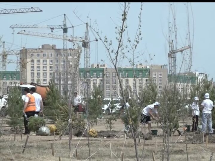 Жаңа экобақ – қаланың жасыл болашағы