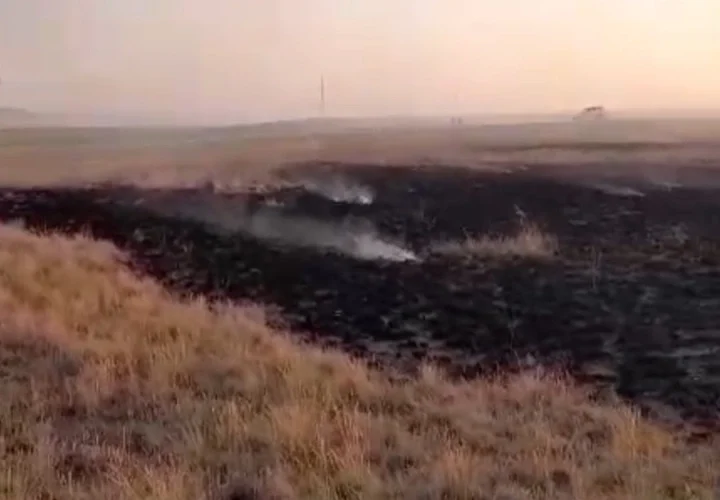 Қарқаралы ауданында табиғи өртті сөндіру жұмыстары жалғасуда