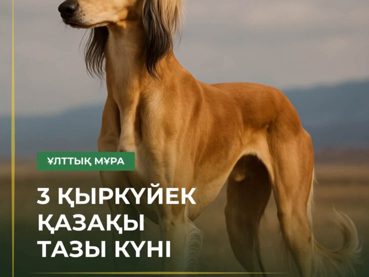 3 қыркүйек – қазақ тазысы күні 