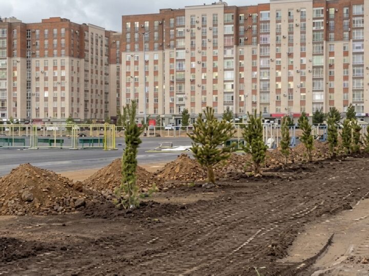 Концерт алаңының жасыл келбеті